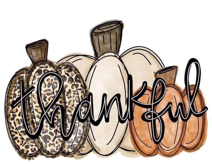 Thankful 3Pumpkins Shirt