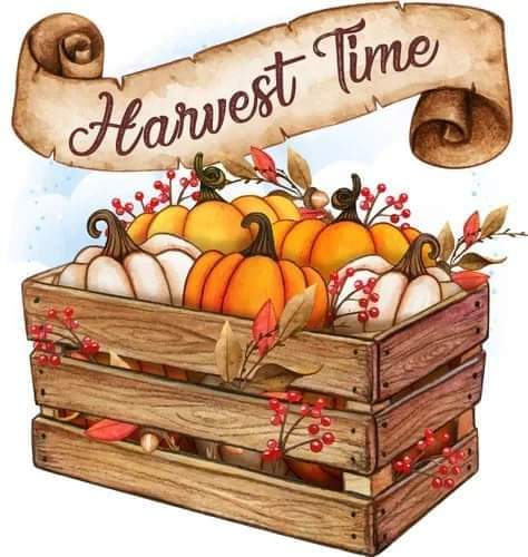 Harvest Time Shirt