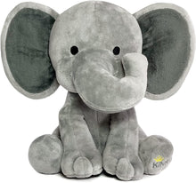 Load image into Gallery viewer, Birth Announcement  Stuffed Animal
