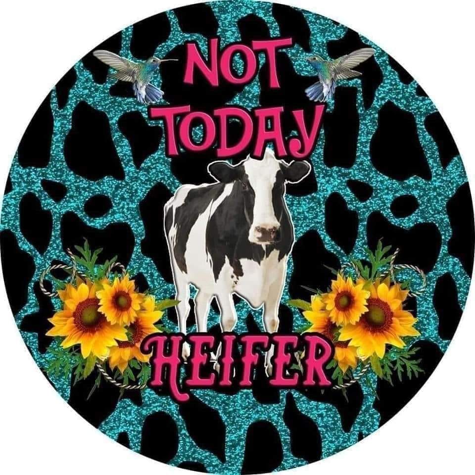 Not today heifer Car Coaster